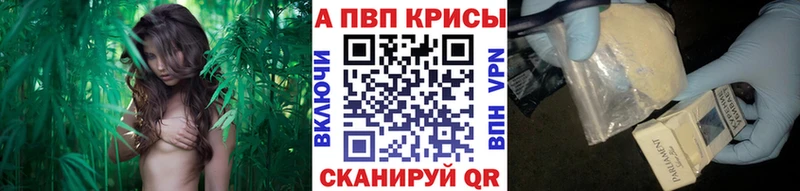 Alpha PVP СК КРИС Среднеколымск