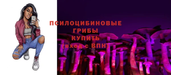 синтетический гашиш Алексеевка