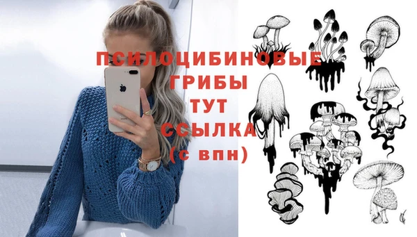 MDMA Premium VHQ Алзамай